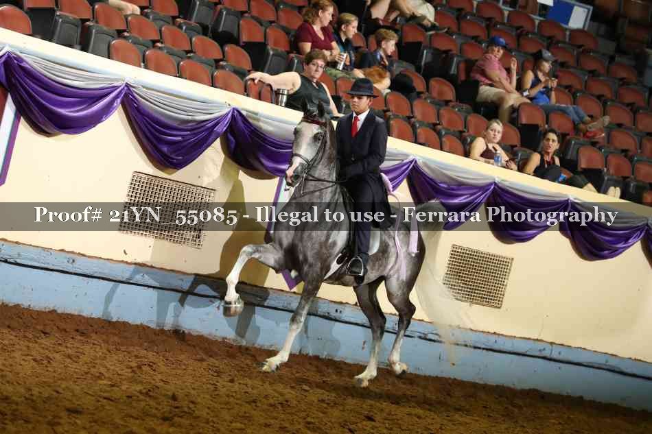 Proof Number 21YN_55085