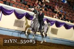 21YN_55085 thumbnail