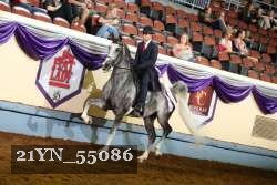 21YN_55086 thumbnail