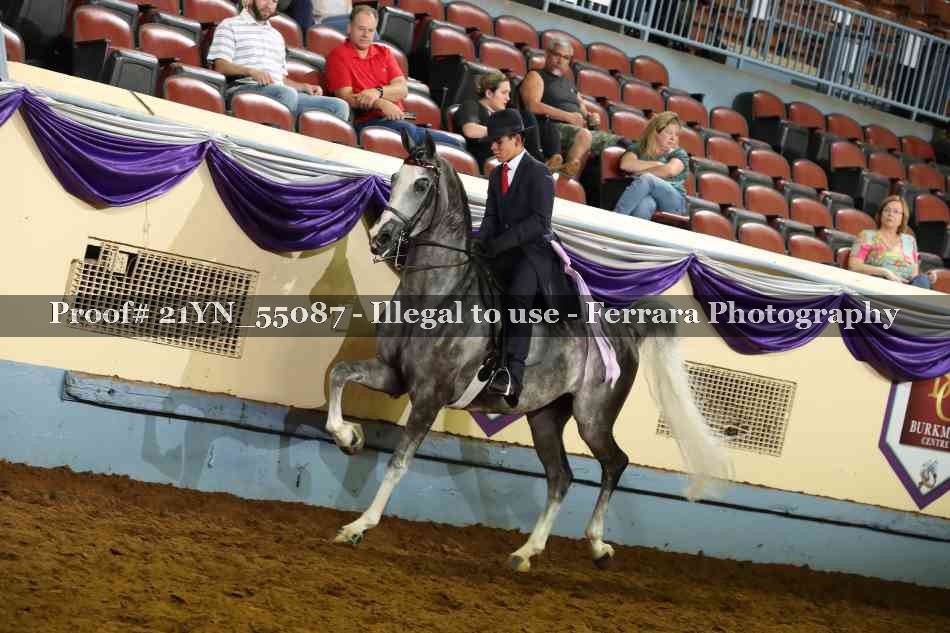Proof Number 21YN_55087