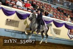21YN_55087 thumbnail