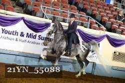 21YN_55088 thumbnail