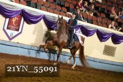21YN_55091 thumbnail