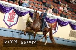 21YN_55092 thumbnail