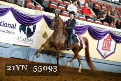 21YN_55093 thumbnail