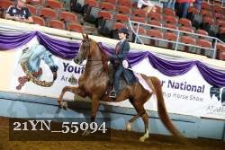 21YN_55094 thumbnail