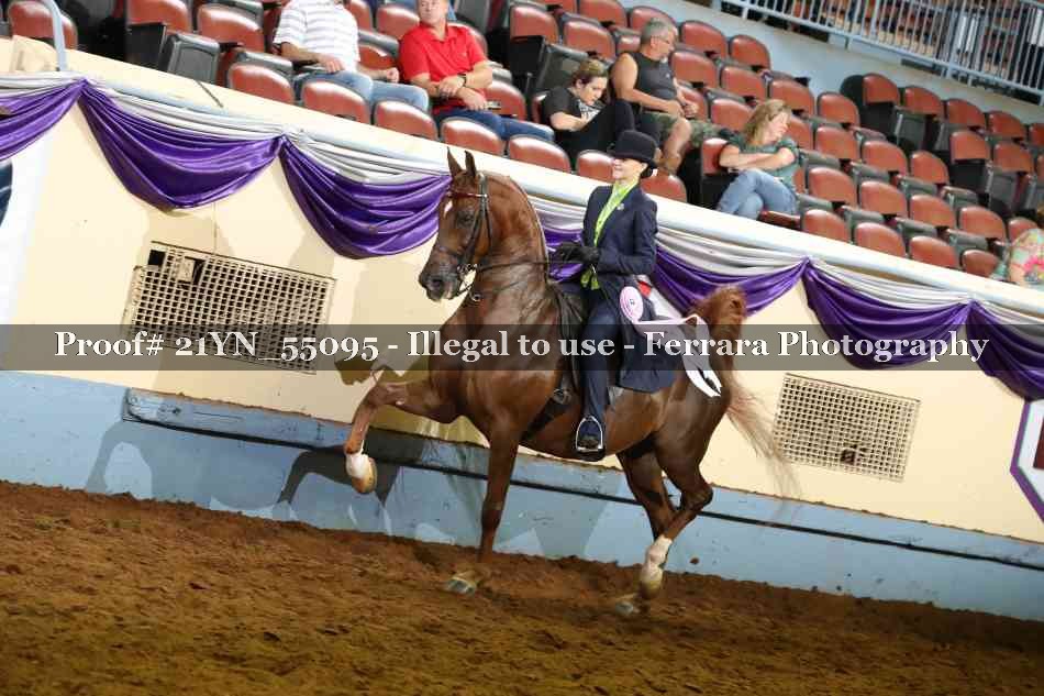Proof Number 21YN_55095