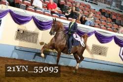 21YN_55095 thumbnail