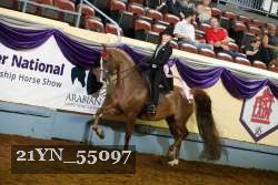 21YN_55097 thumbnail