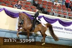 21YN_55098 thumbnail