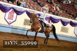 21YN_55099 thumbnail