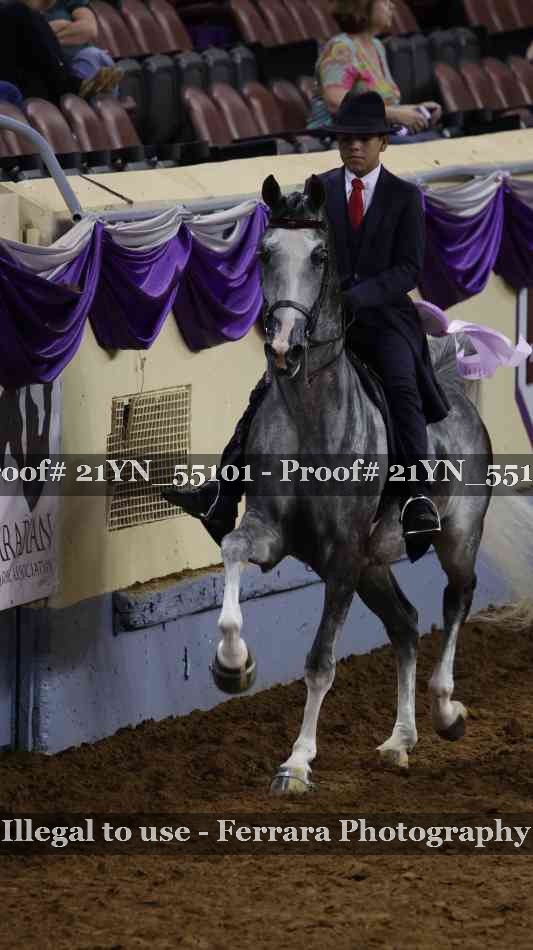 Proof Number 21YN_55101