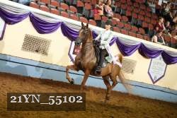 21YN_55102 thumbnail