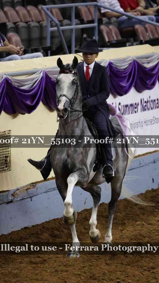 Proof Number 21YN_55103