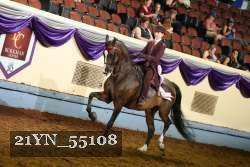 21YN_55108 thumbnail