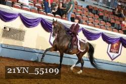 21YN_55109 thumbnail