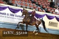 21YN_55110 thumbnail