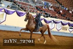 21YN_72701 thumbnail
