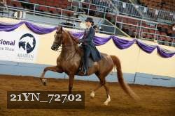 21YN_72702 thumbnail
