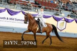 21YN_72704 thumbnail