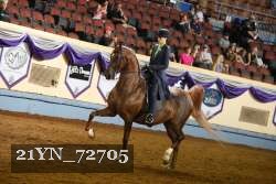 21YN_72705 thumbnail