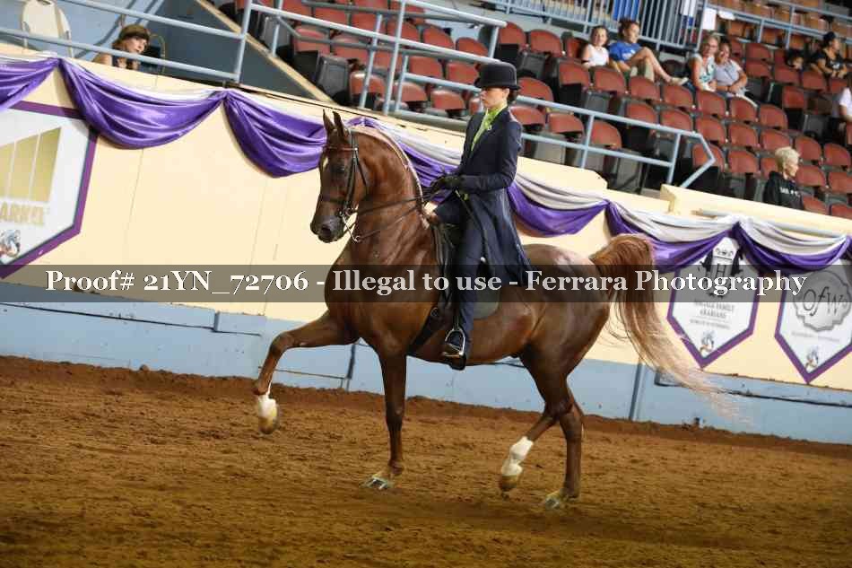 Proof Number 21YN_72706