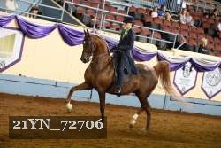 21YN_72706 thumbnail