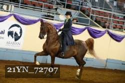 21YN_72707 thumbnail