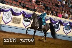 21YN_72708 thumbnail