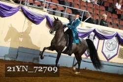 21YN_72709 thumbnail