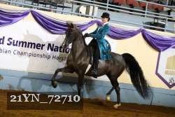 21YN_72710 thumbnail