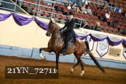 21YN_72711 thumbnail
