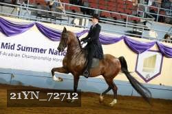 21YN_72712 thumbnail