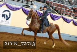 21YN_72713 thumbnail