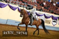 21YN_72714 thumbnail