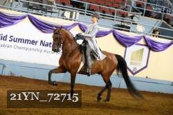 21YN_72715 thumbnail