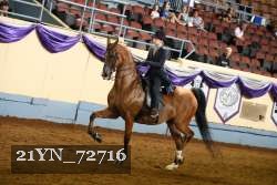 21YN_72716 thumbnail