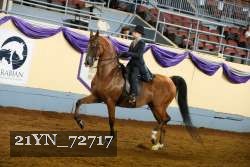 21YN_72717 thumbnail