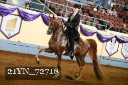 21YN_72718 thumbnail
