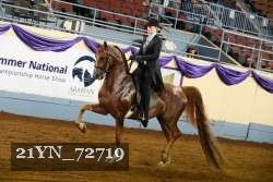 21YN_72719 thumbnail