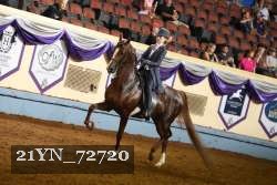 21YN_72720 thumbnail
