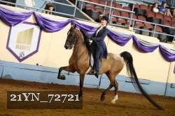 21YN_72721 thumbnail
