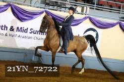 21YN_72722 thumbnail