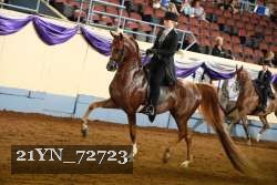 21YN_72723 thumbnail