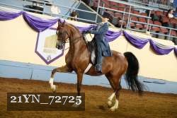 21YN_72725 thumbnail