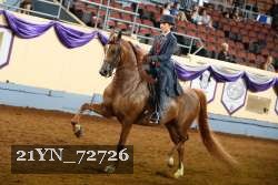 21YN_72726 thumbnail