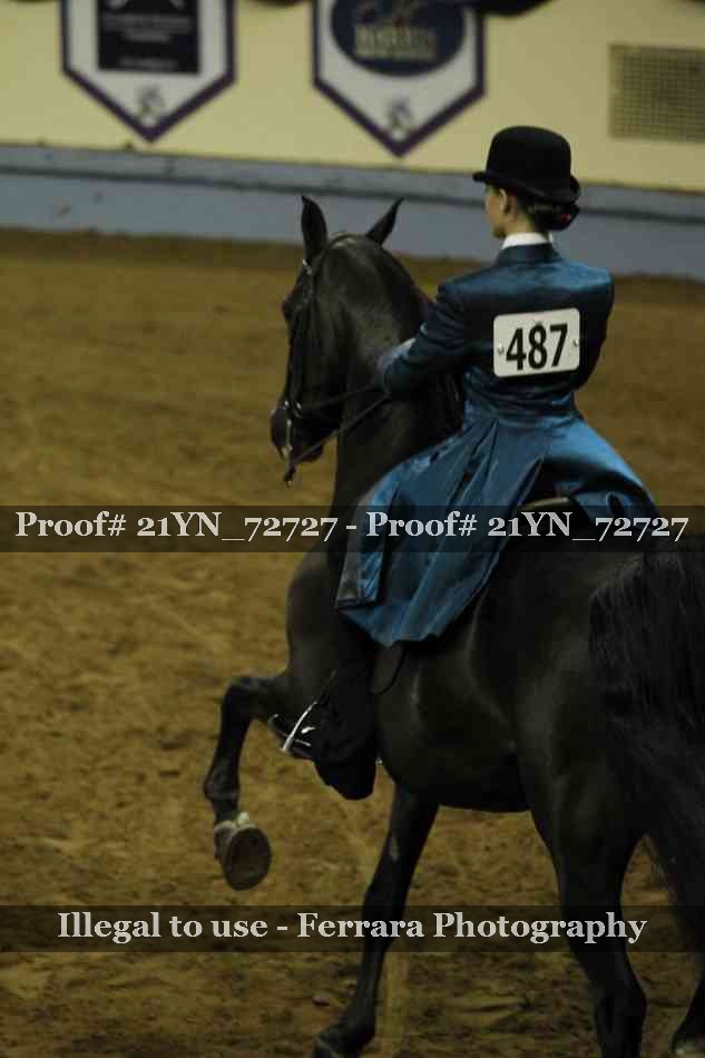 Proof Number 21YN_72727