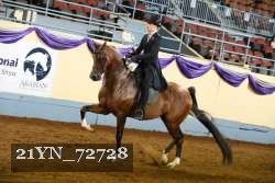 21YN_72728 thumbnail