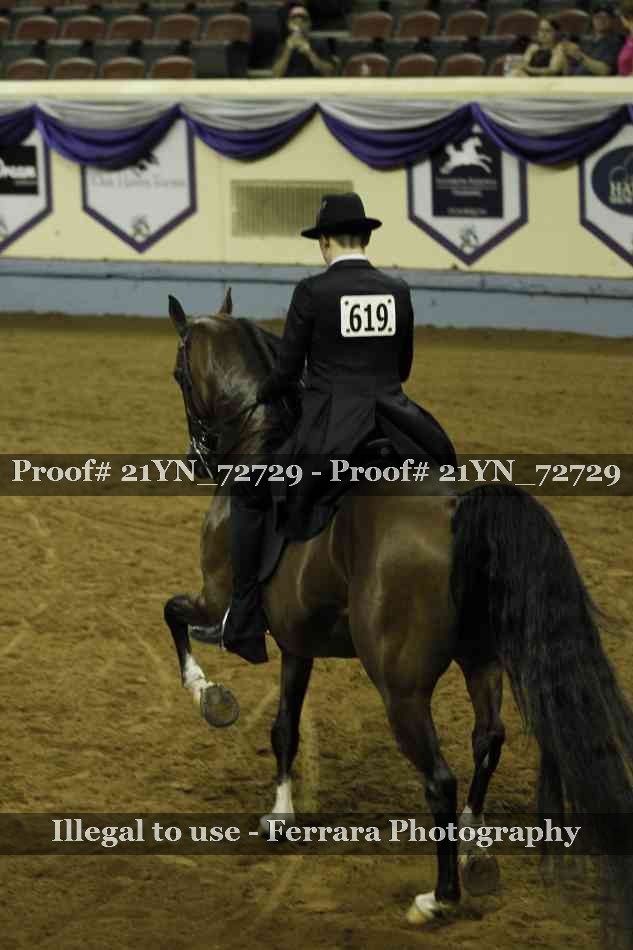 Proof Number 21YN_72729