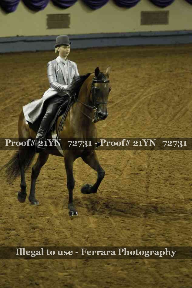 Proof Number 21YN_72731